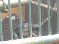 IMGP0881.JPG
